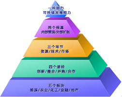 中化集团发展战略
