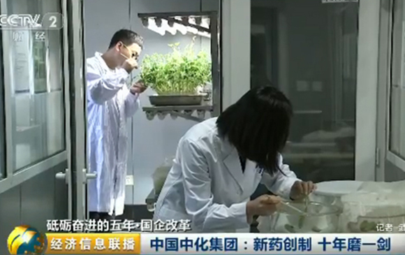 中化集团：新药创制 十年磨一剑
